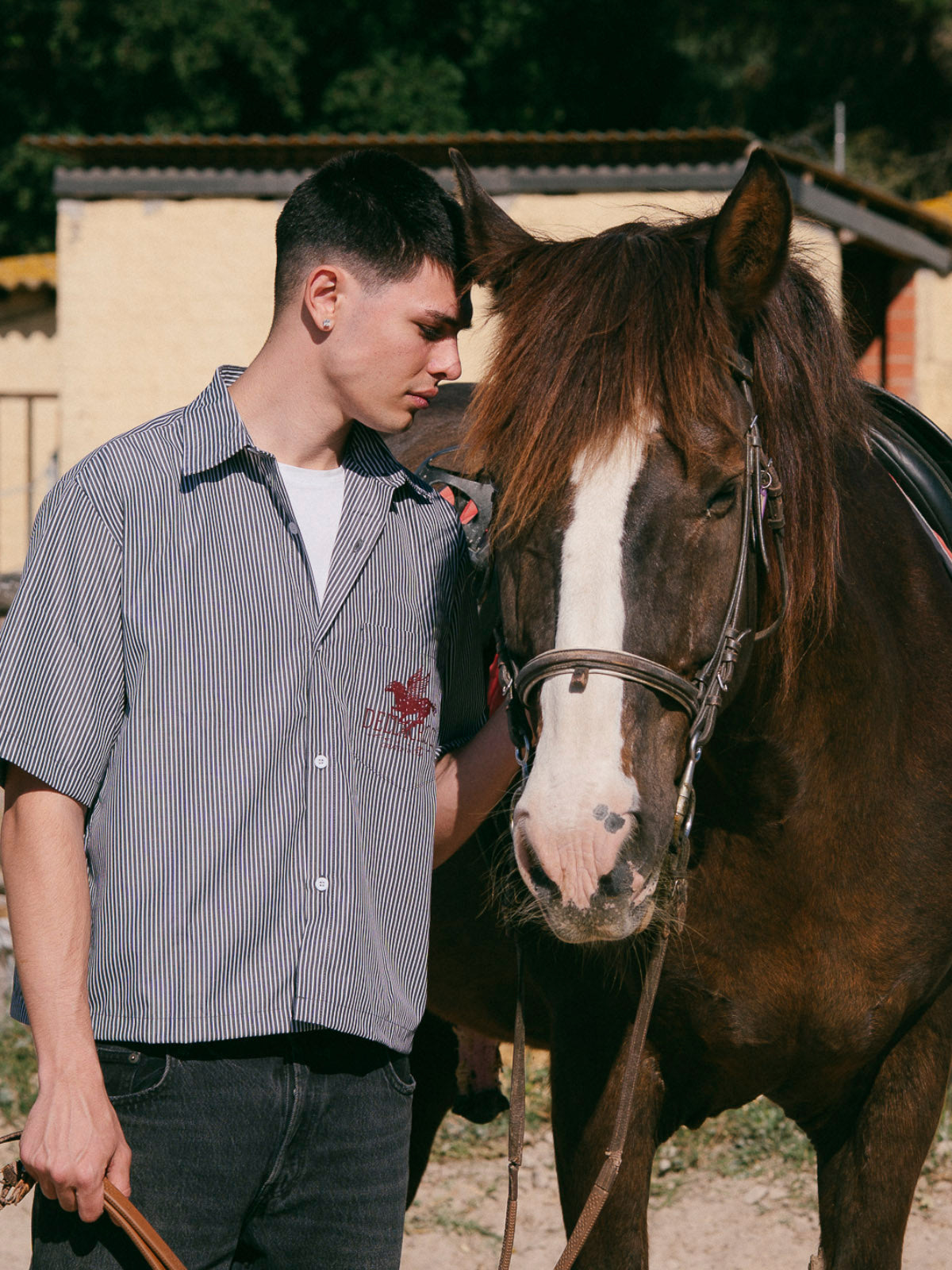 PEGASUS BLACK SHIRT